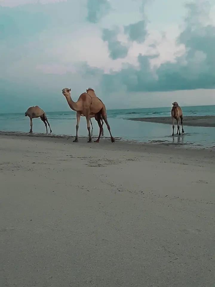 Somalia Has a Finite Border