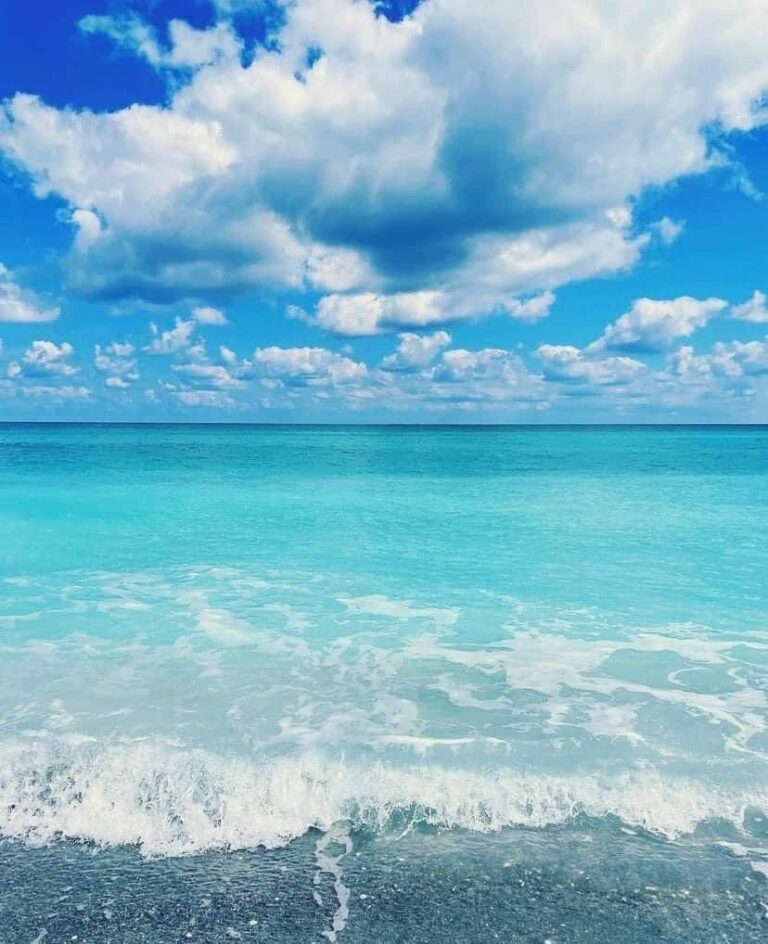 Message From Bashir Mohamud