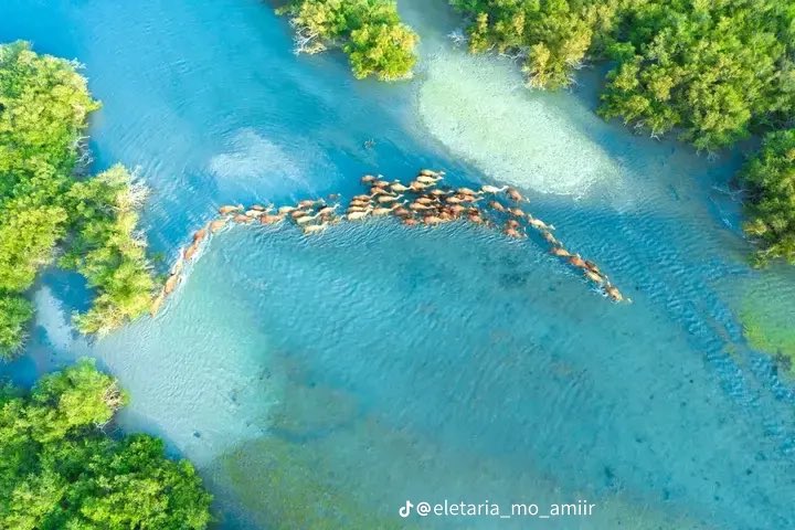 A report and a call to all Somalis