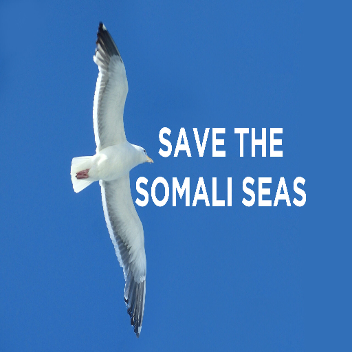 Save the Somali Seas